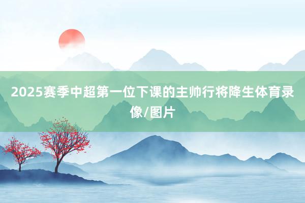 2025赛季中超第一位下课的主帅行将降生体育录像/图片