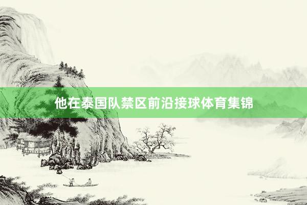 他在泰国队禁区前沿接球体育集锦