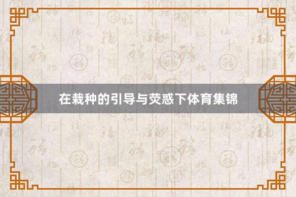 在栽种的引导与荧惑下体育集锦