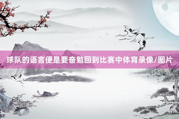 球队的语言便是要奋勉回到比赛中体育录像/图片