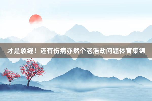 才是裂缝！还有伤病亦然个老浩劫问题体育集锦