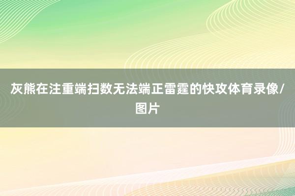 灰熊在注重端扫数无法端正雷霆的快攻体育录像/图片