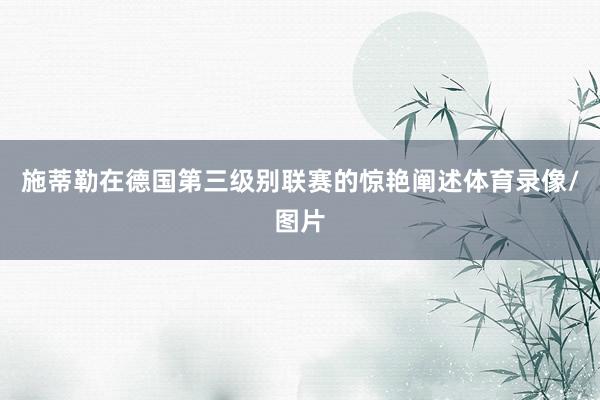 施蒂勒在德国第三级别联赛的惊艳阐述体育录像/图片