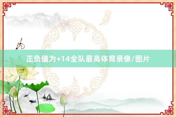 正负值为+14全队最高体育录像/图片
