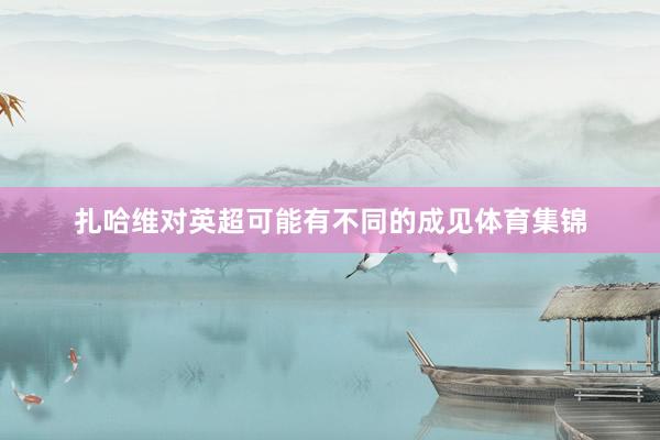 扎哈维对英超可能有不同的成见体育集锦