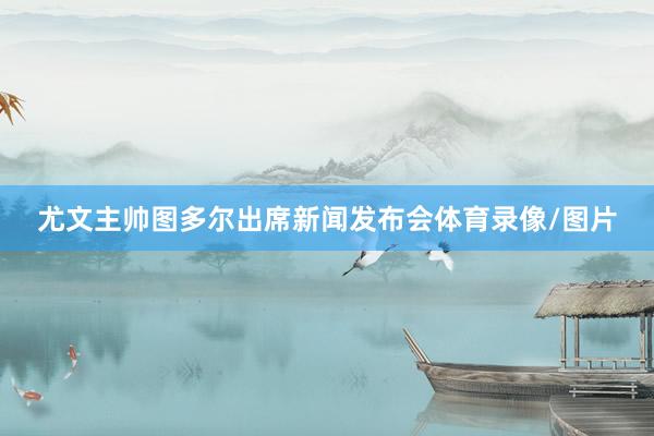 尤文主帅图多尔出席新闻发布会体育录像/图片