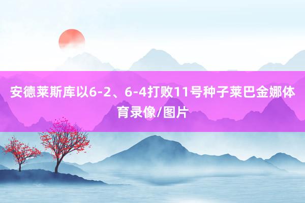 安德莱斯库以6-2、6-4打败11号种子莱巴金娜体育录像/图片