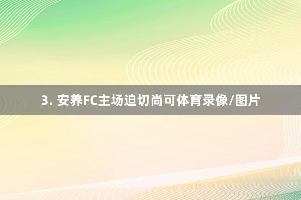 3. 安养FC主场迫切尚可体育录像/图片