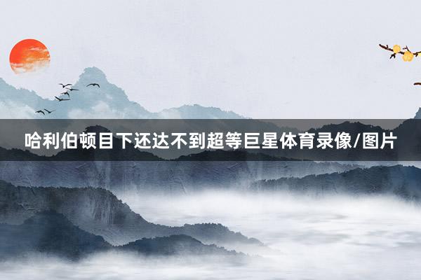 哈利伯顿目下还达不到超等巨星体育录像/图片
