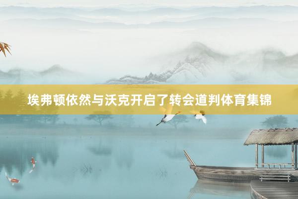 埃弗顿依然与沃克开启了转会道判体育集锦