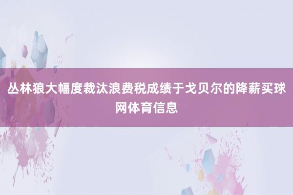丛林狼大幅度裁汰浪费税成绩于戈贝尔的降薪买球网体育信息
