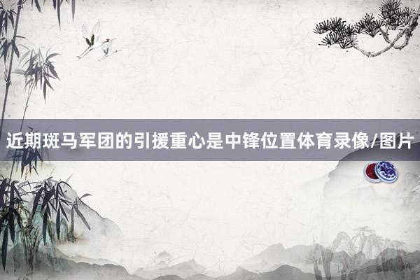 近期斑马军团的引援重心是中锋位置体育录像/图片