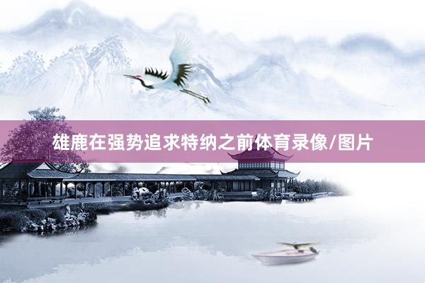 雄鹿在强势追求特纳之前体育录像/图片