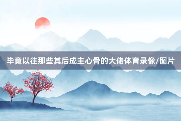 毕竟以往那些其后成主心骨的大佬体育录像/图片