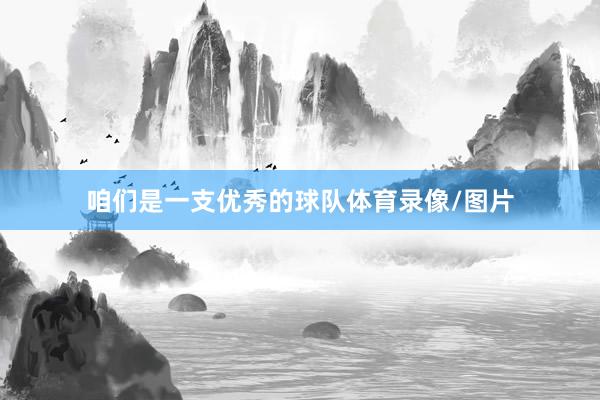 咱们是一支优秀的球队体育录像/图片