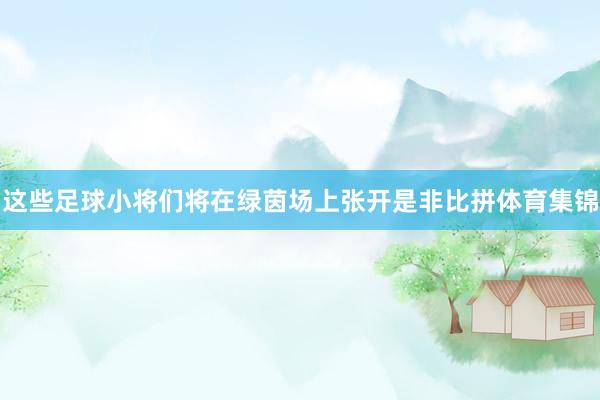 这些足球小将们将在绿茵场上张开是非比拼体育集锦