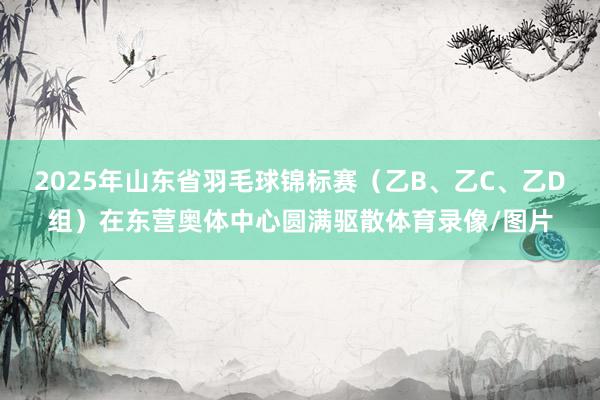 2025年山东省羽毛球锦标赛（乙B、乙C、乙D组）在东营奥体中心圆满驱散体育录像/图片