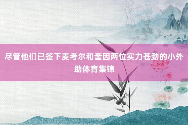 尽管他们已签下麦考尔和奎因两位实力苍劲的小外助体育集锦