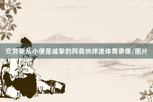 安努斯从小便是诚挚的阿森纳球迷体育录像/图片