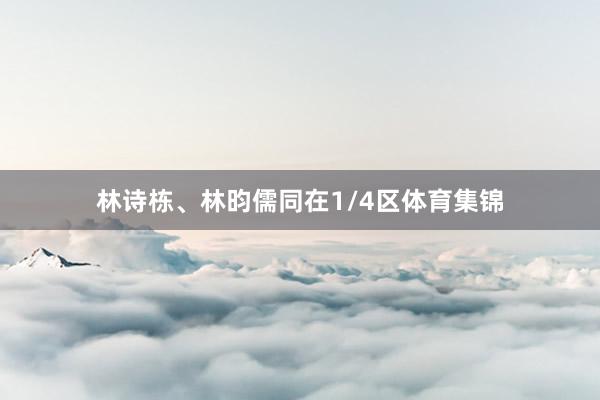 林诗栋、林昀儒同在1/4区体育集锦
