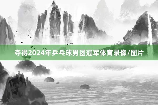 夺得2024年乒乓球男团冠军体育录像/图片