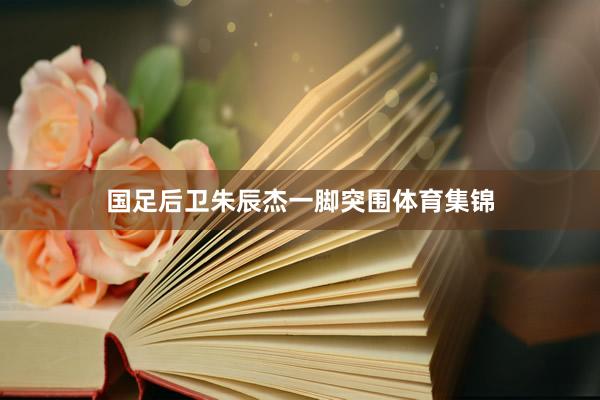 国足后卫朱辰杰一脚突围体育集锦