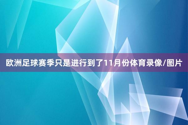 欧洲足球赛季只是进行到了11月份体育录像/图片