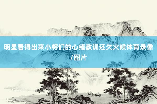 明显看得出来小将们的心绪教训还欠火候体育录像/图片