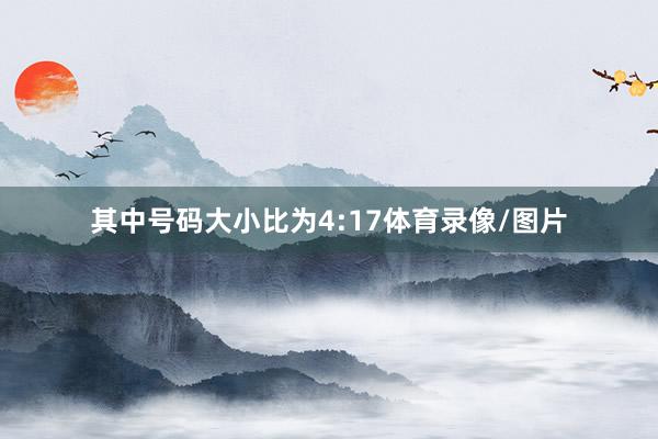 其中号码大小比为4:17体育录像/图片