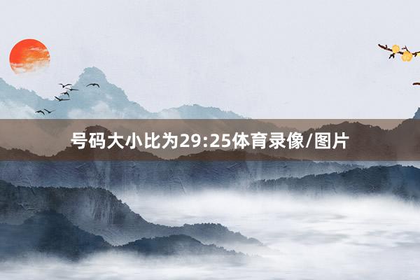 号码大小比为29:25体育录像/图片