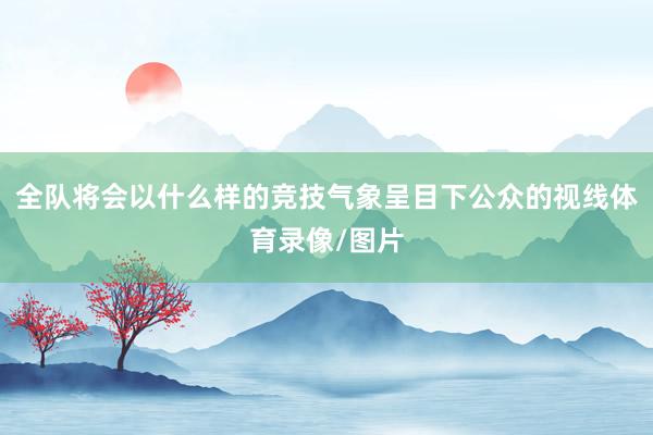全队将会以什么样的竞技气象呈目下公众的视线体育录像/图片