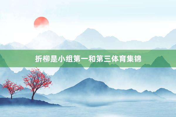 折柳是小组第一和第三体育集锦