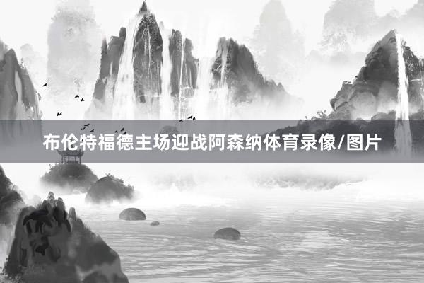 布伦特福德主场迎战阿森纳体育录像/图片