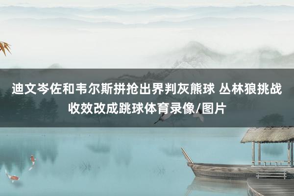 迪文岑佐和韦尔斯拼抢出界判灰熊球 丛林狼挑战收效改成跳球体育录像/图片