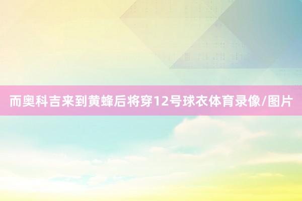 而奥科吉来到黄蜂后将穿12号球衣体育录像/图片