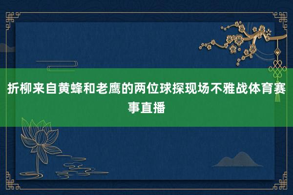 折柳来自黄蜂和老鹰的两位球探现场不雅战体育赛事直播