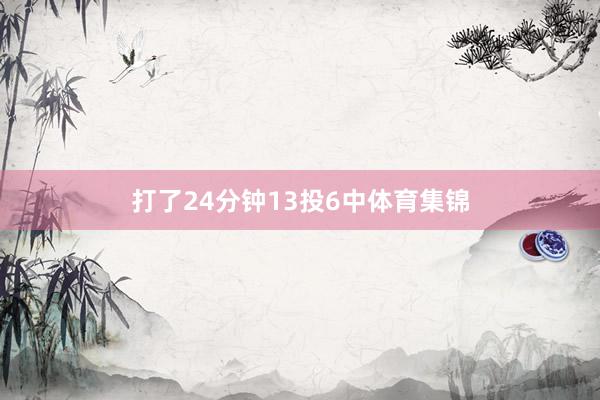 打了24分钟13投6中体育集锦