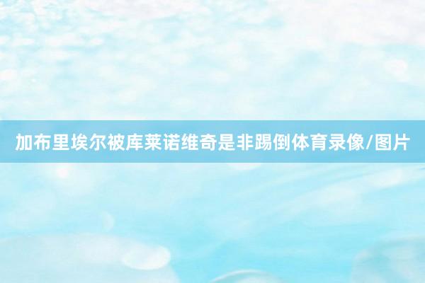 加布里埃尔被库莱诺维奇是非踢倒体育录像/图片