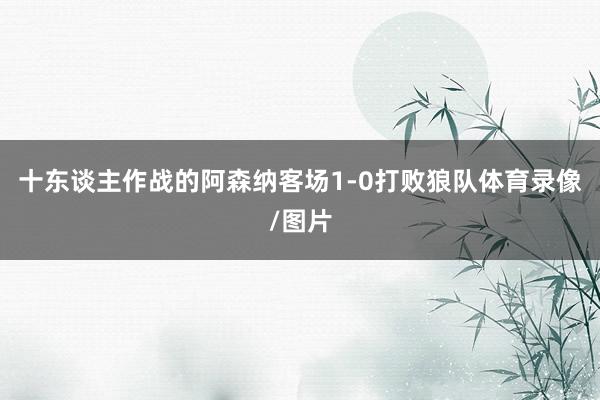 十东谈主作战的阿森纳客场1-0打败狼队体育录像/图片