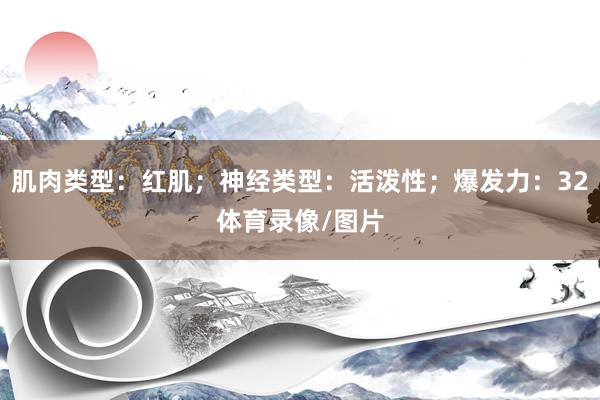 肌肉类型：红肌；神经类型：活泼性；爆发力：32体育录像/图片