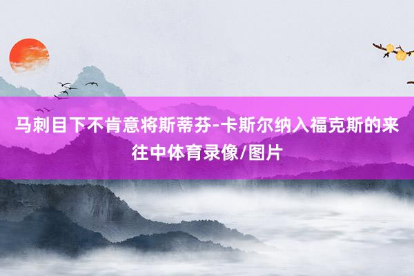 马刺目下不肯意将斯蒂芬-卡斯尔纳入福克斯的来往中体育录像/图片