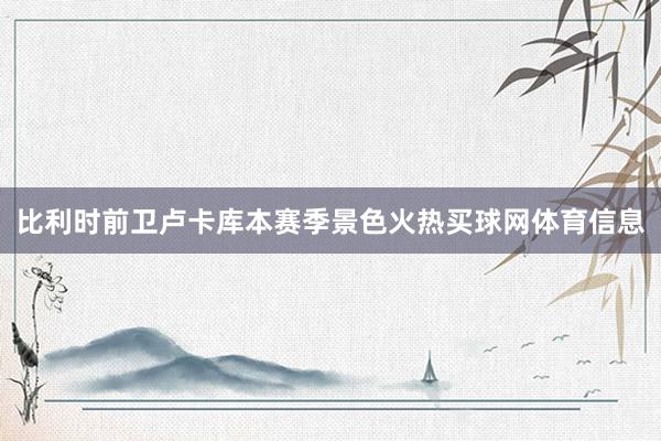 比利时前卫卢卡库本赛季景色火热买球网体育信息