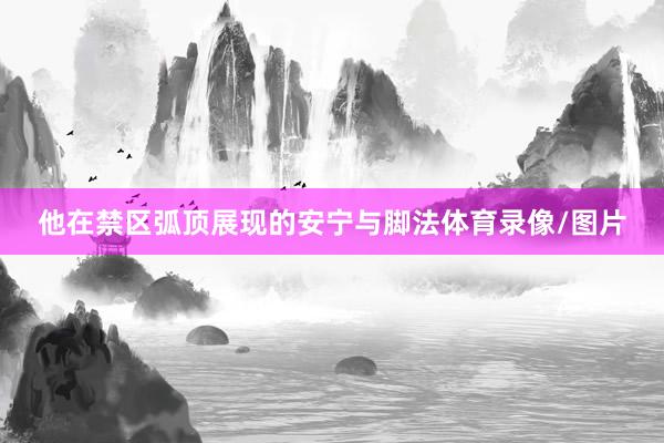 他在禁区弧顶展现的安宁与脚法体育录像/图片