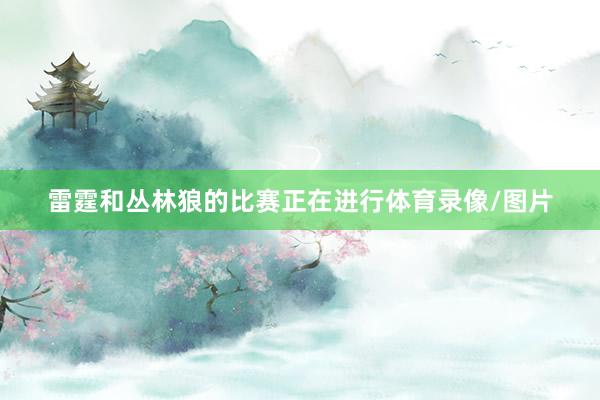雷霆和丛林狼的比赛正在进行体育录像/图片