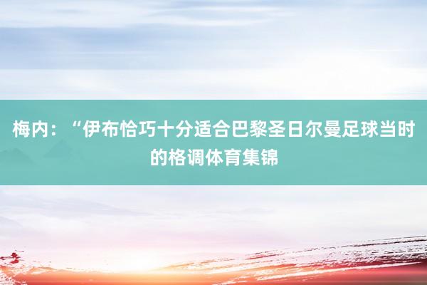 梅内:“伊布恰巧十分适合巴黎圣日尔曼足球当时的格调体育集锦