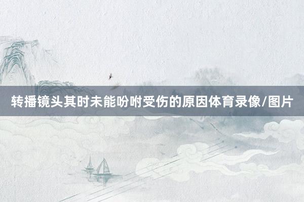 转播镜头其时未能吩咐受伤的原因体育录像/图片