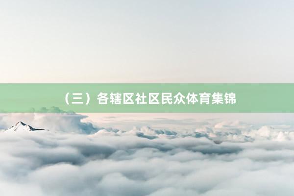 (三)各辖区社区民众体育集锦