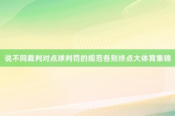 说不同裁判对点球判罚的规范各别终点大体育集锦