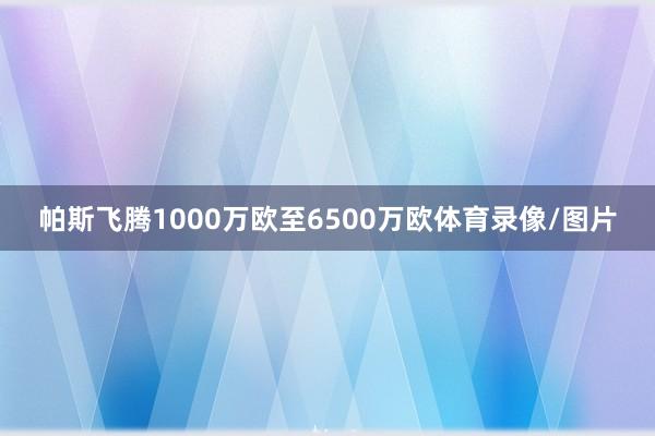 帕斯飞腾1000万欧至6500万欧体育录像/图片