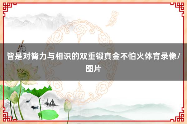 皆是对膂力与相识的双重锻真金不怕火体育录像/图片